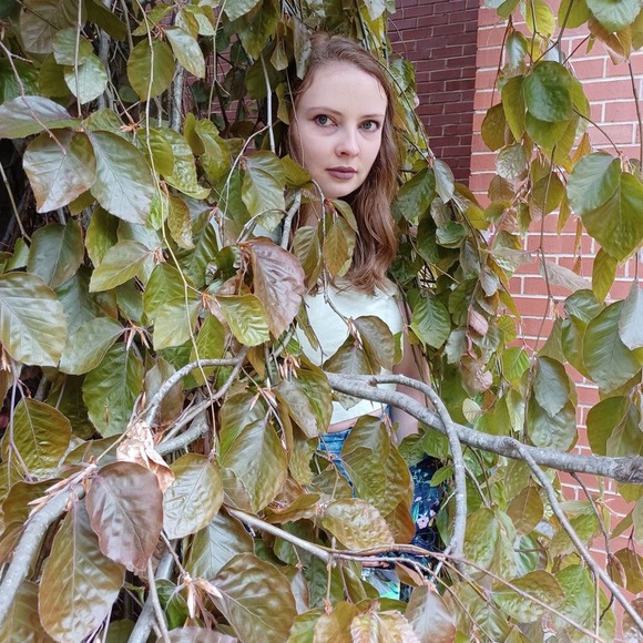 LIVE SHOW NOTIFICATION - Picture 7 of 7